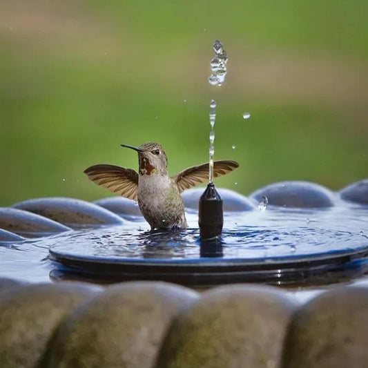 🔥Ηλιακά σιντριβάνια με πουλιά🐦️