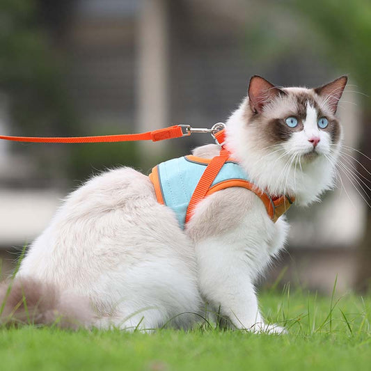 🐾Αντι-διαφυγής ανακλαστική ζώνη για γάτες με λουρί