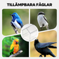 🦜Κρεμαστή διαφανής ταΐστρα για κλουβί πουλιών