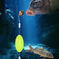 【2+3 δώρα】🐟 Αυξάνει το ποσοστό πιάσματος – πείτε αντίο στα μπλεξίματα! 🎣